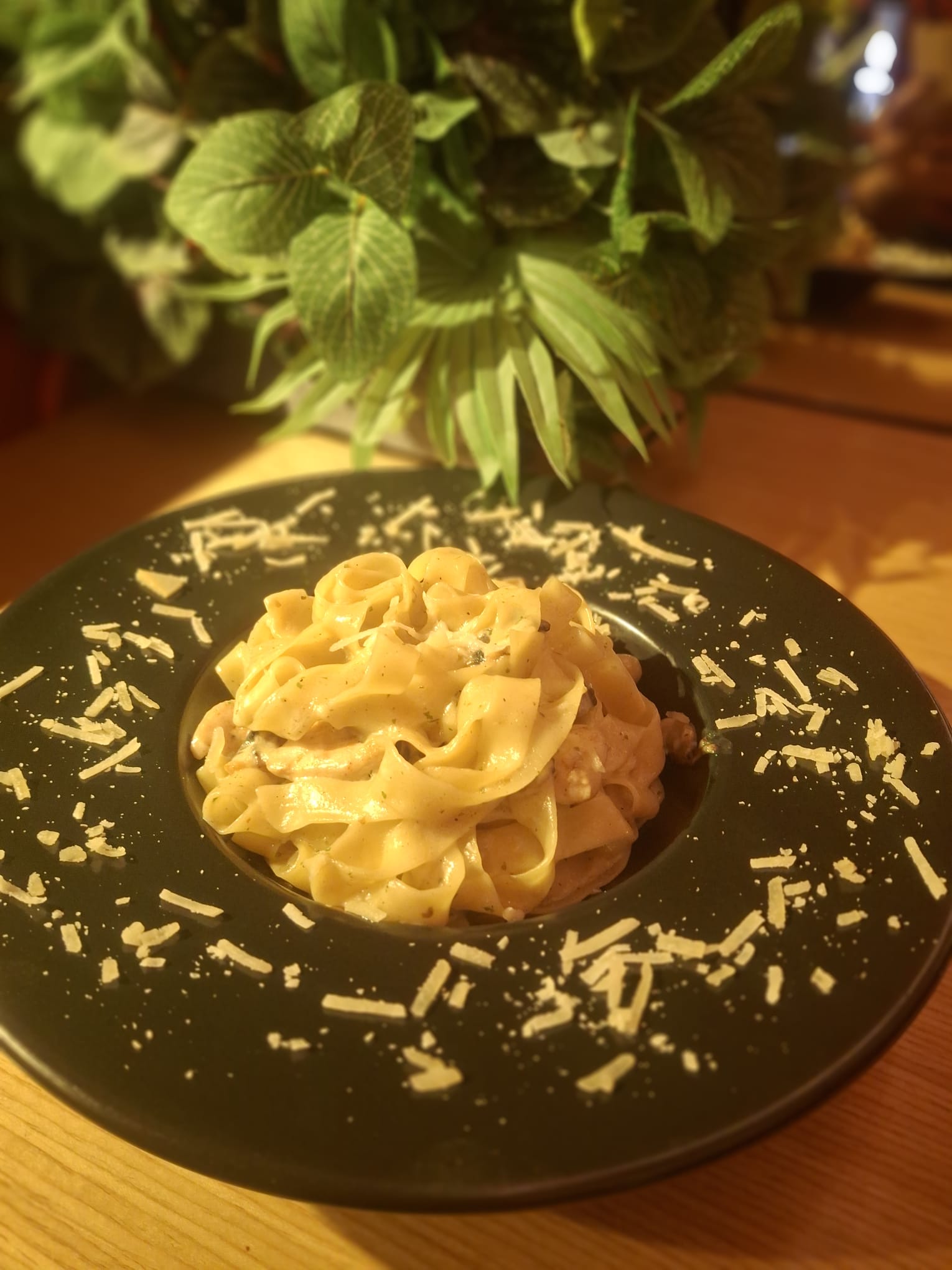 Fettucine Chicken